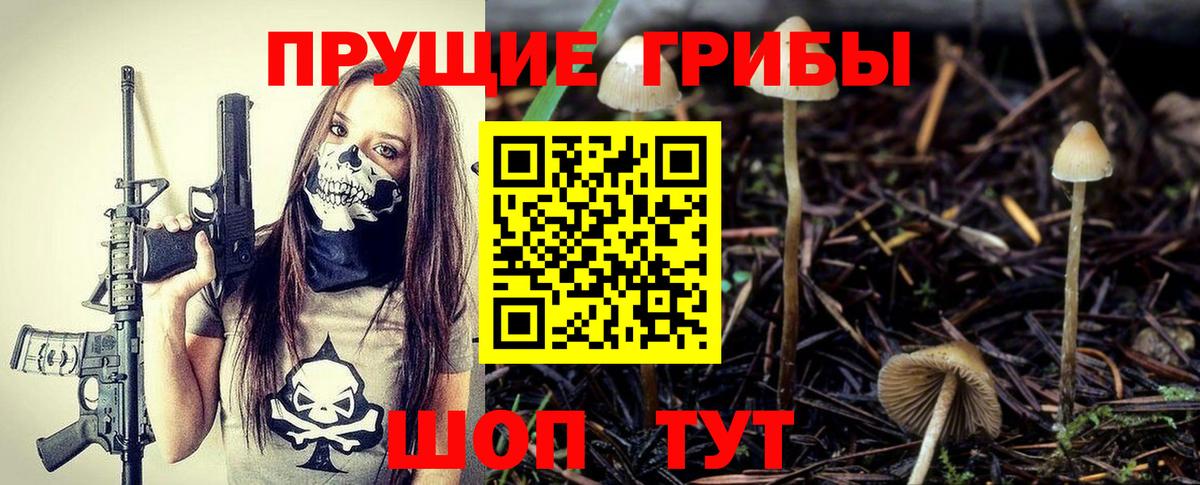 Галлюциногенные грибы GOLDEN TEACHER  Лянтор  Галлюциногенные грибы Magic Shrooms 